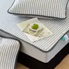 2026 Nuevo Modelo Esterilla Fresca de Polietileno Etileno Norma Nacional con Rayas Dinámicas Sin Estampar, Lavable a Máquina, Disponible en Estilo Sábana y Estilo Sábana Ajustable