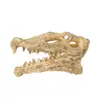 Acuario Micro Paisaje Decoración Artesanía Adornos Cocodrilo Restos de Tyrannosaurus Rex Nuevo Creativo Calavera Calavera de Oveja