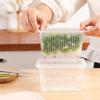 Caja de almacenamiento de cebolleta fresca para refrigerador, venta al por mayor, caja de almacenamiento de jengibre y ajo, caja portátil de cocina transparente de PP, caja sellada para escurrir alimentos y frutas