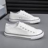 Sapatos masculinos plus size primavera cano baixo sapatos de lona para casal sapatos casuais sapatos esportivos atacado sapatos vulcanizados sapatos baixos