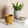 Maceta de Cemento Shengyu Creativa Personalizada Superficie Lunar Nórdica ins Simple Maceta para Suculentas Maceta de Trípode para Interiores