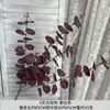 Hojas de Eucalipto Simuladas de 5 Puntas, Hojas de Dinero, Arte Floral Decorativo, Decoración para Bodas y Hogar, Adornos de Plantas Verdes, Flores Falsas para Fotografía
