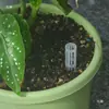 Tubo de Ventilação e Aeração para Vaso de Flores Versão Estendida Respirável Anti-Podridão Estilo Vaso Tubo de Aeração para Solo de Bonsai e Flores Tubo de Aeração e Ventilação de Solo