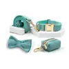 Conjunto Especial de Coleira e Guia de Veludo Cisne para Cachorro Suporte para Saquinhos de Cocô para Cães Pequenos e Médios