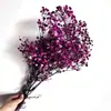 Flores Preservadas Gypsophila Ramo de Flores Secas Flores Blancas Reales Flores Grandes Secadas al Aire Decoración de Sala de Estar Arreglo Floral Fotografía de Bodas Otro