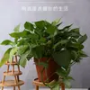 Soporte para Flores Base de Maceta de Cerámica Estante para Flores Soporte para Acuario Jarra de Vino Adorno Creativo Soporte para Comedero de Gato y Perro Mini