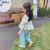 Conjunto de Vestido de Verão para Meninas 2024 Novo Calça Anti-mosquitos de Manga Curta Floral Infantil Conjunto Fashion de Duas Peças Estilo Western para Bebês