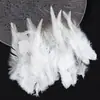 Venta Directa de Fábrica de Puntas de Plumas Blancas Cortas Materiales para Manualidades DIY Accesorios para Atrapasueños Juguetes para Mascotas Palo Atrapagatos Decoraciones