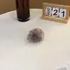 Pinza para el pelo tipo banana de malla de burbujas fresca y dulce, similar a una nube, con pliegues tridimensionales, capas esponjosas, para coleta semi-recogida, accesorio para el cabello
