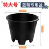 Maceta Extra Grande Caja Especial Engrosada para Plantar Verduras Maceta Redonda Plástica Elevada para Plantas Maceta Transpirable para Cultivo