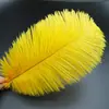 30-35cm Plumas de Avestruz Lámpara de Plumas Arreglo Floral de Plumas de Avestruz Plumas de Boda