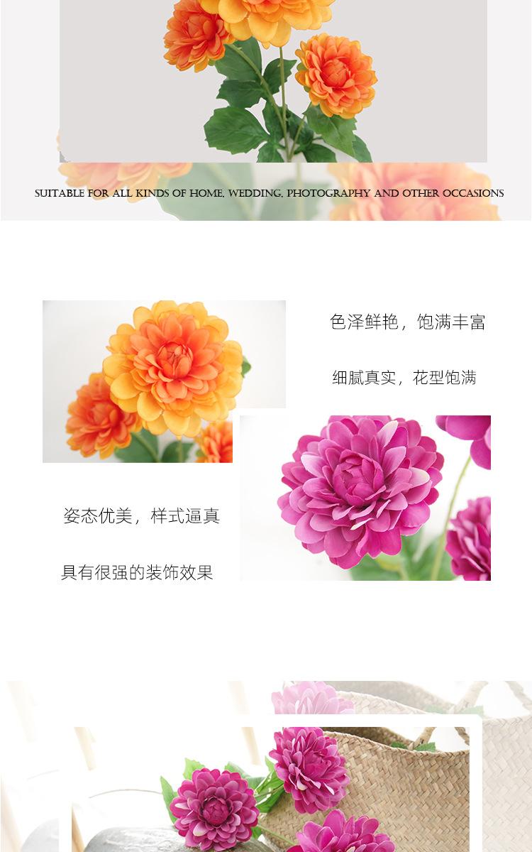 详情_15.jpg
