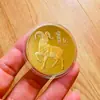 Ano do Cavalo Moeda Comemorativa de 100 Bilhões Cavalo do Zodíaco Pequeno Objetivo: Medalha Comemorativa Cem Milhões Presente Inspirador Moeda Dura