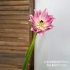 Flor de dragão antiga artificial, material EVA de alta qualidade, para decoração de casa, arranjos florais, decoração de maquete e adereços de fotografia