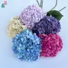 Hortênsia Anna de haste única, hortênsia grande fresca, flores artificiais para arranjos de chão de casamento, adereços de fotografia, flores decorativas de seda