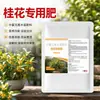 Fertilizante especial para osmanthus, promovendo a diferenciação de botões florais, resultando em florações densas. Adequado para todos os tipos de osmanthus, incluindo variedades douradas, prateadas e vermelhas.. Produz uma fragrância rica e deliciosa, tornando-o uma excelente escolha