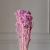 Flores de Mijo Conservadas Blancas, Flores de Mijo Secas, Venta al por Mayor desde Fabricante, Materiales para Uñas Hechas a Mano DIY