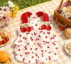 Ropa para Perros Verano Delgada Falda de Tirantes de Cereza Falda Linda de Encaje Teddy Gato Oso Amargo Ropa para Mascotas