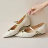 Zapatos Mary Jane 2026 de Corte Bajo con Punta Aguja Tacones Altos para Mujer con Correa Única y Tacón Grueso Zapatos de Otoño para el Trabajo Moda Chic Francesa