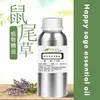 Óleo Essencial de Sálvia Esclareia para Aromaterapia no Atacado para Salões de Beleza, Matérias-Primas de Fonte Única para Aromaterapia, Cosméticos e Embalagem de Óleos