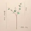 Decoración de planta verde hoja de dinero de eucalipto artificial para micro paisajismo, plantas artificiales para decoración del hogar, arreglo floral, accesorios de fotografía