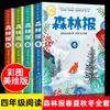 Jornal da Floresta Primavera, Verão, Outono, Inverno Conjunto Completo de 4 Volumes Edição Genuína para Quarta Série Segundo Semestre Lista de Livros Didáticos Sincronizados para Alunos do Ensino Fundamental Terceira Série