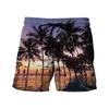 Pantalones Cortos de Playa Estilo Hawaiano para Hombre, Estampado Digital 3D, Europeos y Americanos, Transfronterizos, para Verano 2024, Juventud, Viajes