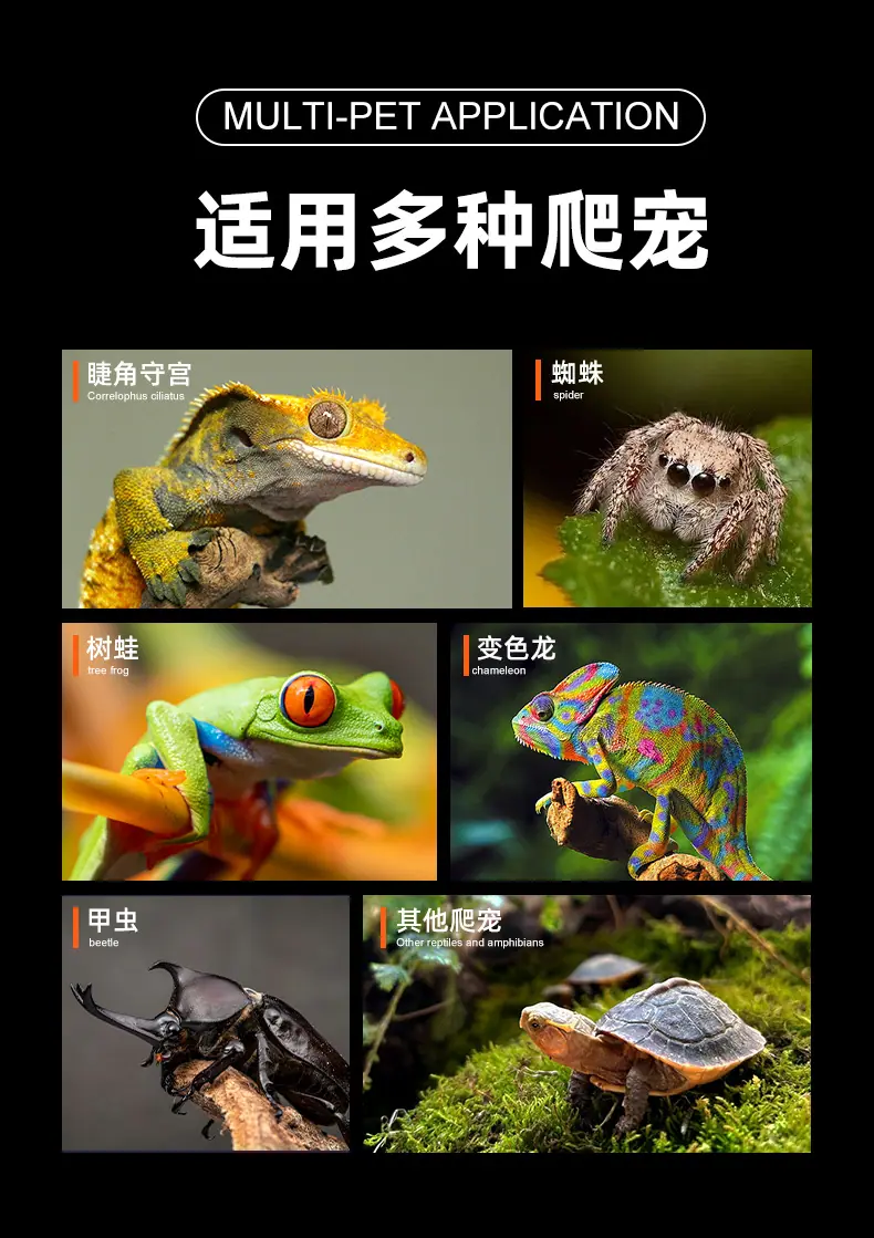 详情页_02.jpg