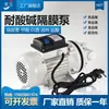 Bomba autocebante FL-550 resistente a ácidos y álcalis bomba de agua anticorrosión bomba química bomba para vino bomba para detergente de lavandería bomba de diafragma eléctrica