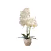 Flores Artificiales Película Impresa en 3D Textura Orquídea Bonsái Planta Artificial Planta en Maceta Artificial Flor Simulación