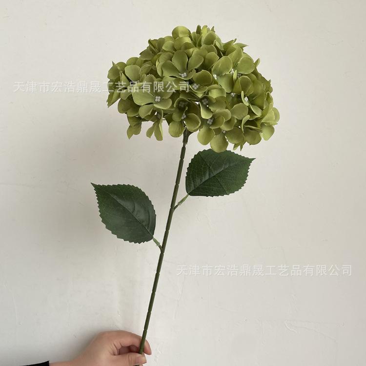 微信图片_2022121211334210_副本