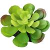 Suculenta Artificial Cabeça de Flor de Suculenta Artificial Bonsai Artificial Acessórios DIY Fabricante Conjunto de Cabeças de Flor de Suculenta Cor Personalizada