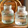Decoração Simples de Vaso de Vidro para Sala de Estar, Vaso para Flores, Plantas Verdes, Flores Frescas, Bambu da Sorte, Hidroponia Vermelha, Xuzhou Zhuotong