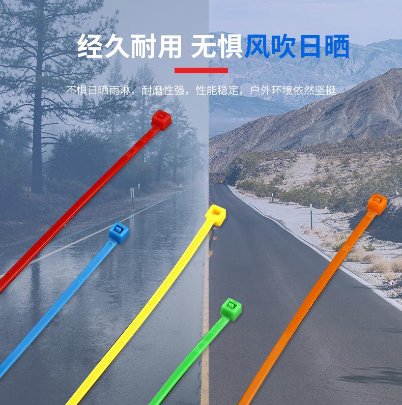 重拍3x200国标彩色尼龙扎带-2_06