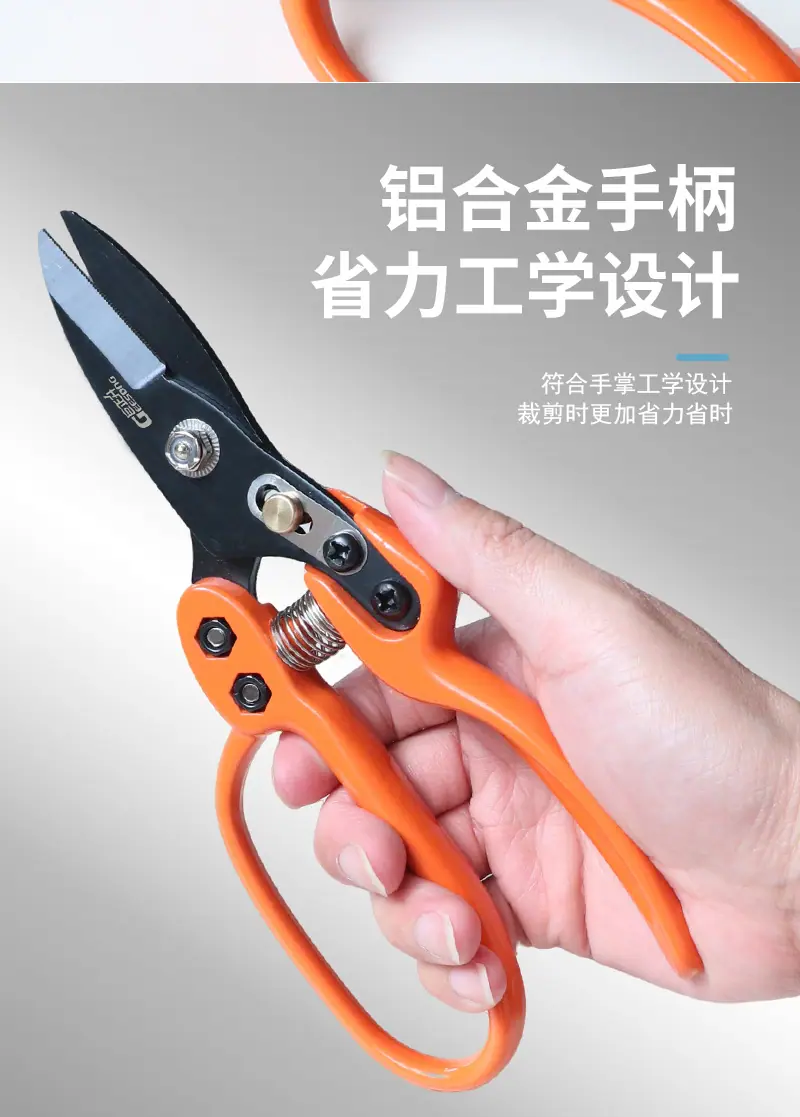 未标题-1_08.jpg