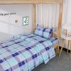 Dormitório escolar de três peças lençol de cama única capa de colcha estudantes universitários cama de algodão de três peças conjunto completo de fábrica atacado