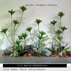 Plantas Verdes Simuladas com Toque de Luxo, Combinação de Paisagismo com Plantas Artificiais, Conjunto Completo de Decorações para Janelas Internas, Design Criativo Biomimético Estilo Wabi-Sabi