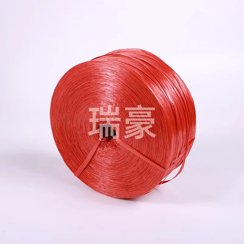 3T0A5447.JPG