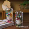 Taza de Doble Capa de Vidrio de Borosilicato Resistente al Calor Creativa Transfronteriza Taza de Flores Secas Taza para Desayuno Leche Café Taza para Beber para el Hogar