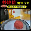 Cebo de Pesca Estilo E-Commerce para Carpa Salvaje, Lombrices Rojas, Alimento para Peces de Uso General con Aroma Fuerte, Cebo de Camarón a Granel, Cebo de Pesca, Alimento para Peces