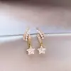 Brincos de Estrela com Pérola Dourada e Zircônia para Mulheres 2026, Brincos de Tarraxa Extremamente Atraentes, Luxo Leve, Alta Qualidade, Acessórios de Orelha Elegantes e Estilosos