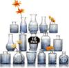 Juego de Jarrones de Vidrio Transparente de Lujo Ligero con un Toque de Alta Gama para Arreglos Florales, Jarrón de Vidrio Hidropónico Decoración de Escritorio