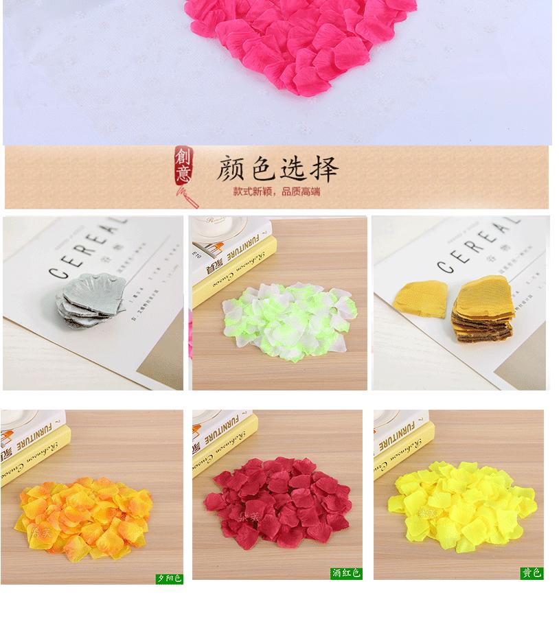 玫瑰花瓣_05