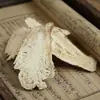 Atractylodes, Rodajas de Atractylodes, Atractylodes Frito, Polvo de Atractylodes, Atractylodes de Diversas Regiones con Gran Suministro y Precios Favorables, Atractylodes Bao, Atractylodes de Zhejiang