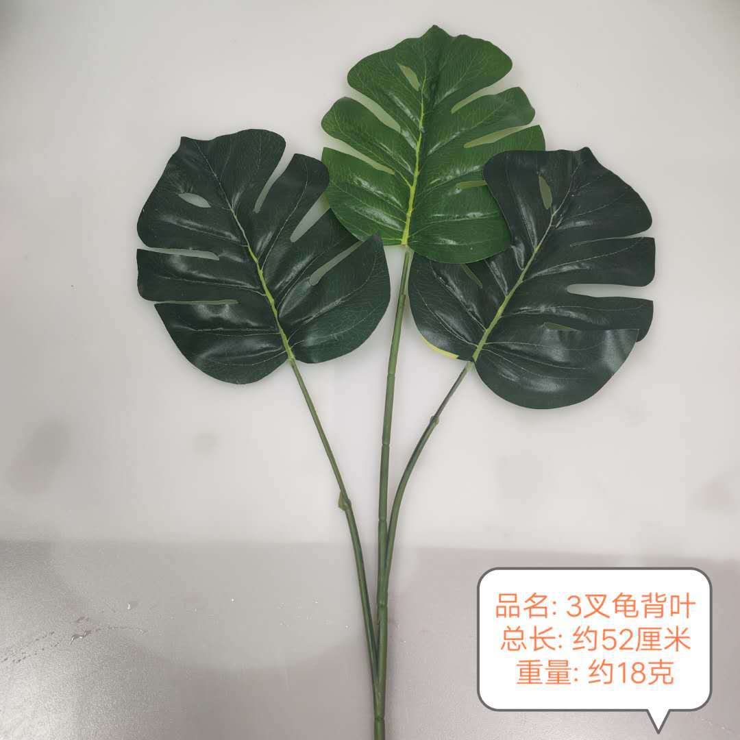 微信图片_20200309171143