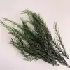 Envío Gratis 30 Piñas Flores Secas Decorativas Hecho a Mano Paquete de Materiales Creativos DIY Decoración del Hogar Ramas Secas Piñas Escama de Pez