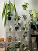 Caixa de Criação em Acrílico, Caixa Totalmente Transparente à Prova de Vento e Isolada, Caixa de Viveiro para Plantas Tropicais e Bonsai, Armário Doméstico para Aquecimento de Plantas