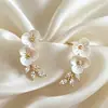 Versão coreana estilo TikTok de brincos de pérola populares para mulheres, luxo leve com sensação de alta qualidade, brincos versáteis de nicho, acessórios de orelha elegantes e modernos
