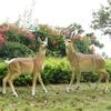 Decoração de paisagem de jardim animal simulação ao ar livre antílope escultura de fibra de vidro ornamentos de artesanato de jardim entrega em uma peça
