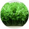 Pared de Plantas Simuladas, Decoración de Césped Artificial de Plástico Falso, Accesorios para Pared de Plantas Verdes, Césped de Eucalipto Simulado Milán Encriptado